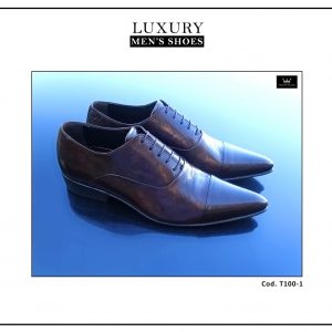 High-End Men’s Shoes – Model-T100-1