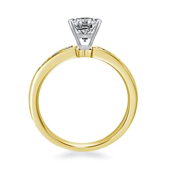 Princess-Cut-Diamond-Channel-Set-Engagement-Ring-14K-Yellow-White-Gold-mod12 (4)