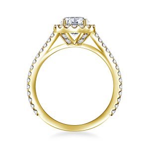 Round Brilliant Diamond Halo Cathedral Engagement Ring In 14K Yellow or White Gold (1.00 Carat Weight)
